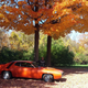 Illustration for article titled #cddcphotocontest FALLow up. FALL!!!!!!